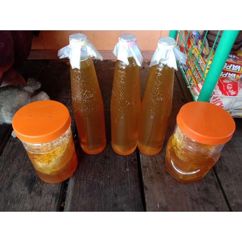 

madu asli hutan