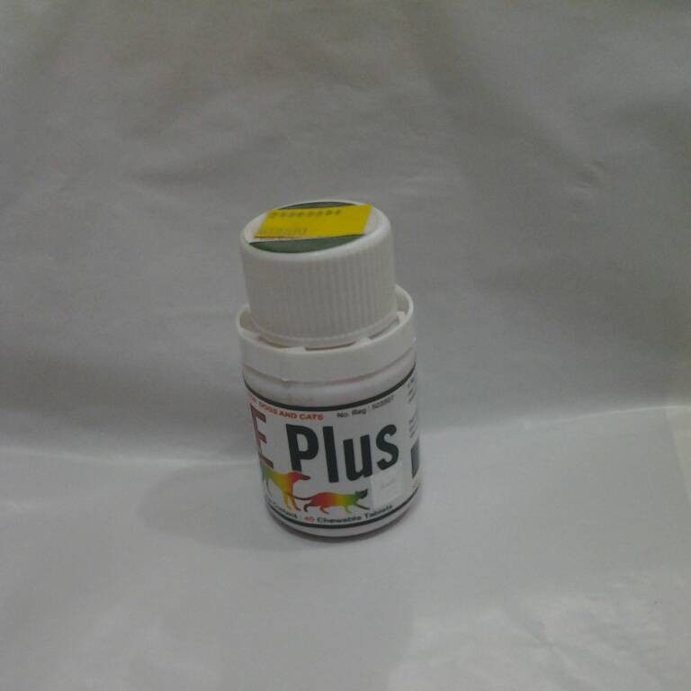 obat birahi kucing n anjing