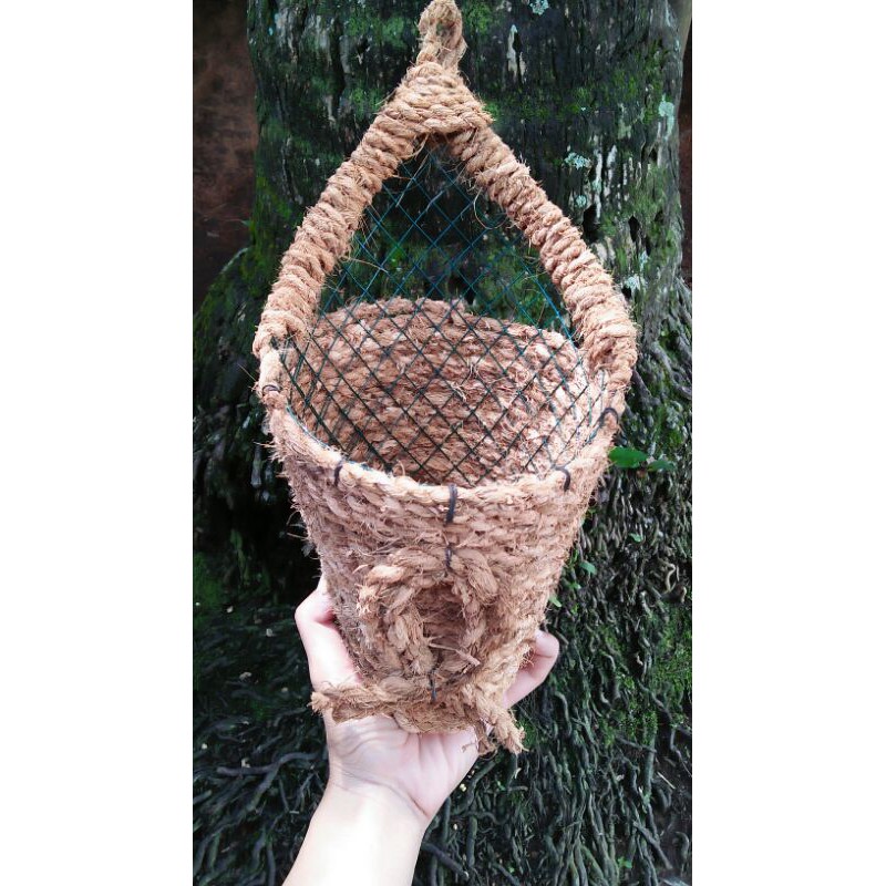 

potsabutkelapa