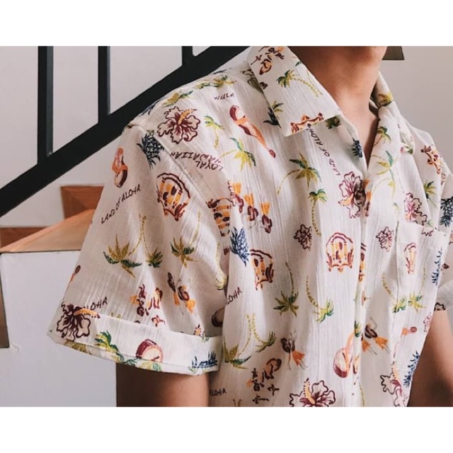 Kemeja Hawaii Tropic Thunder - Land Of Aloha - Kemeja Vintage Indie