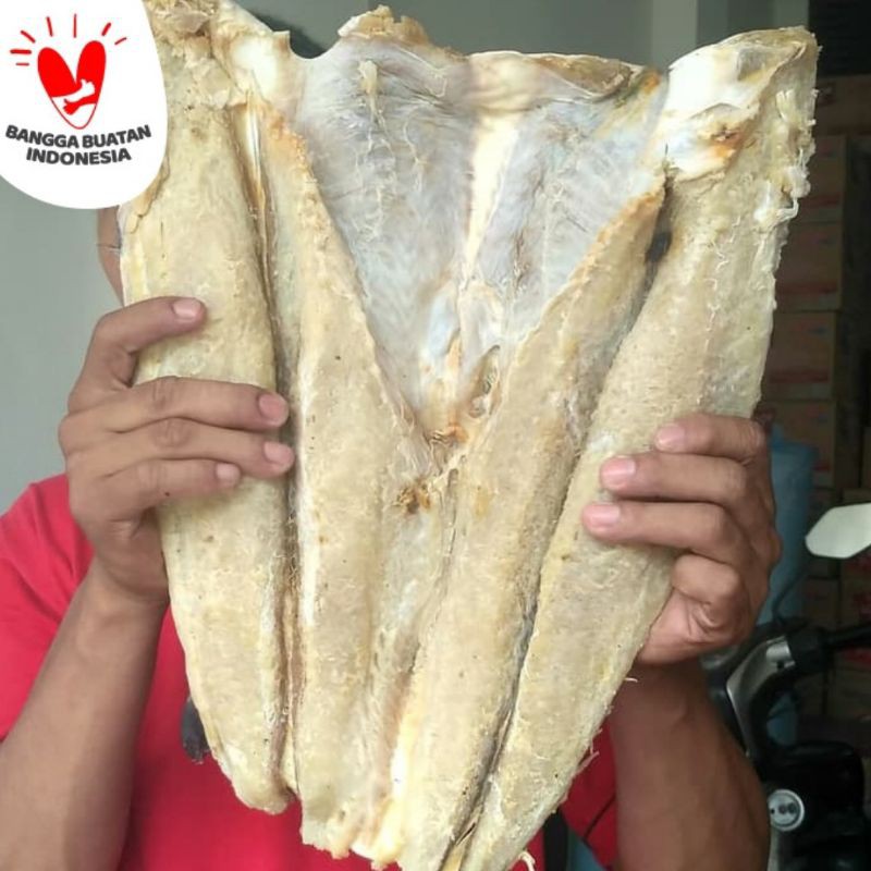 

Ikan Asin Jambal Roti Utuh 1 Kg Fresh.