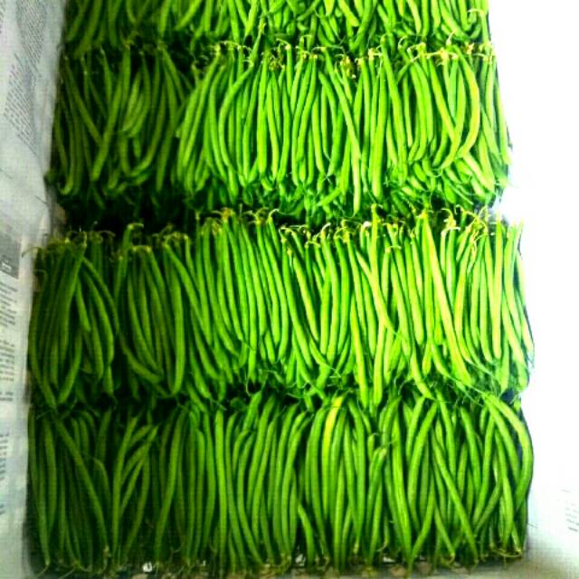 

BUNCIS KENYA FRESH Harga per 500gr