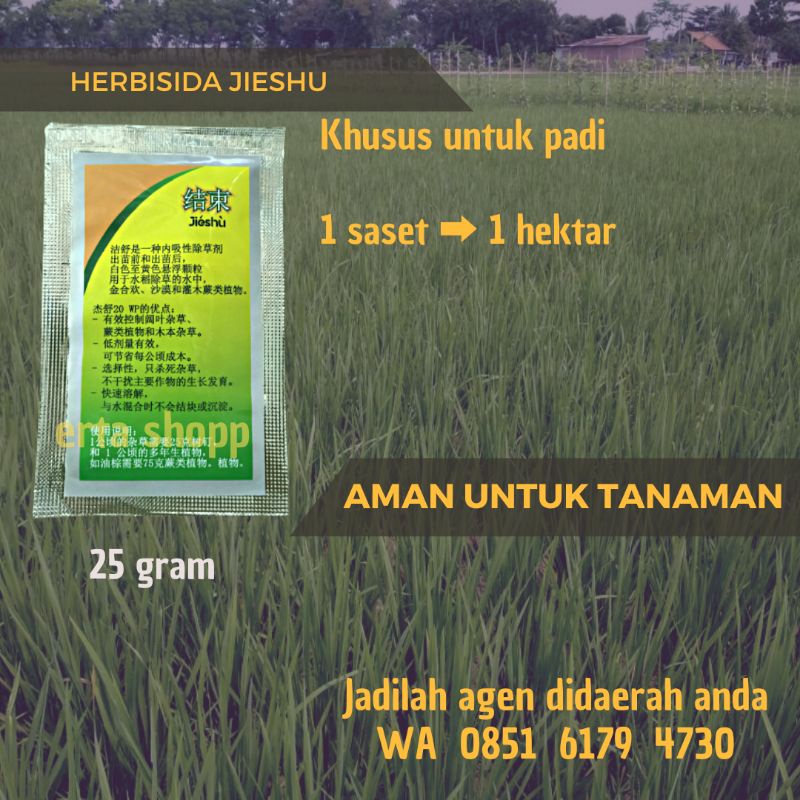 HERBISIDA SISTEMIX/HERBISIDA/HERBISIDA JIESHU/OBAT RUMPUT/RACUN RUMPUT/OBAT GULMA/PEMBASMI GULMA/OBA
