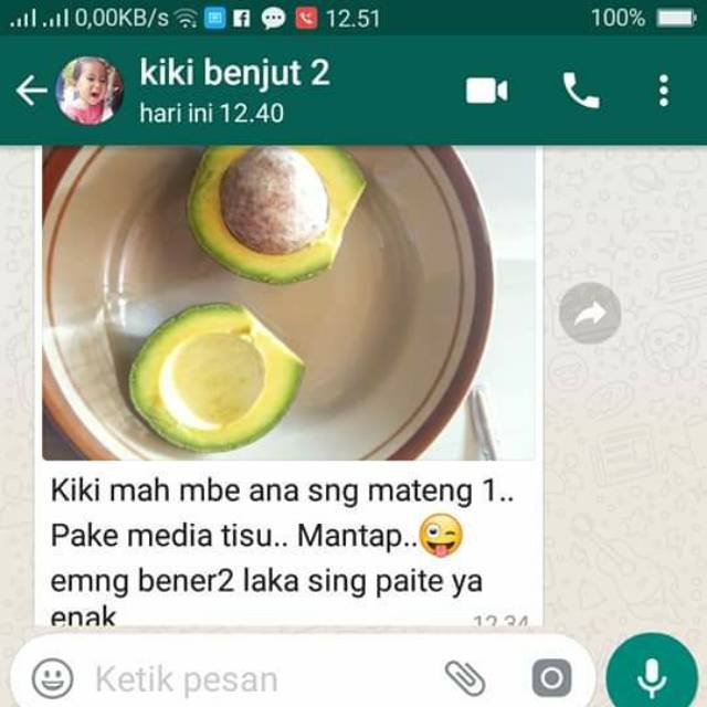 

ALPUKAT BATOK TIDAK PAHIT SAMPAI KE KULITNYA