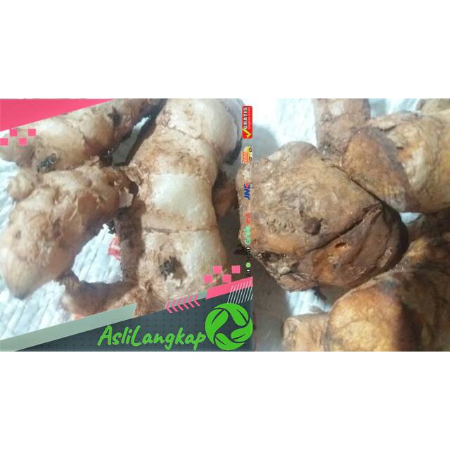 

Temulawak temu organik 500gr segar