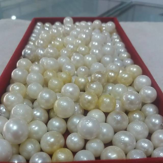 Mutiara air laut Asli lombok