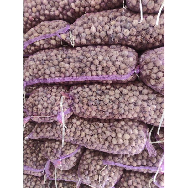 

RB Bawang Putih Tunggal Fresh 1kg Khasiat Lengkap