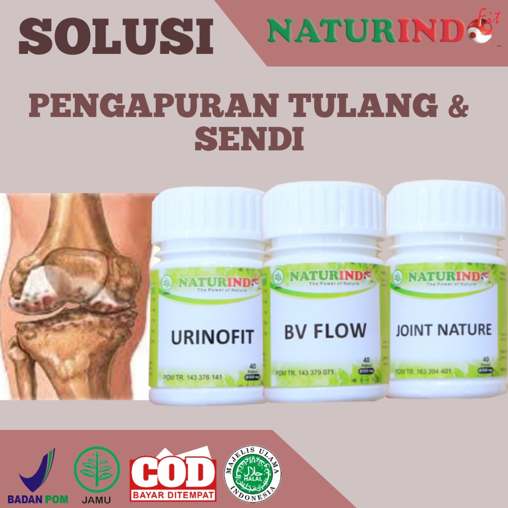 PAKET HERBAL PENGAPURAN TULANG KROPOS, KALSIUM TULANG, TULANG RAPUH, TULANG KUAT NATURINDO