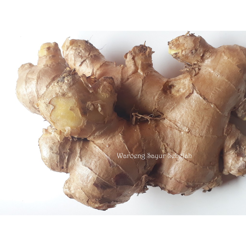 

Jahe 100 Gram