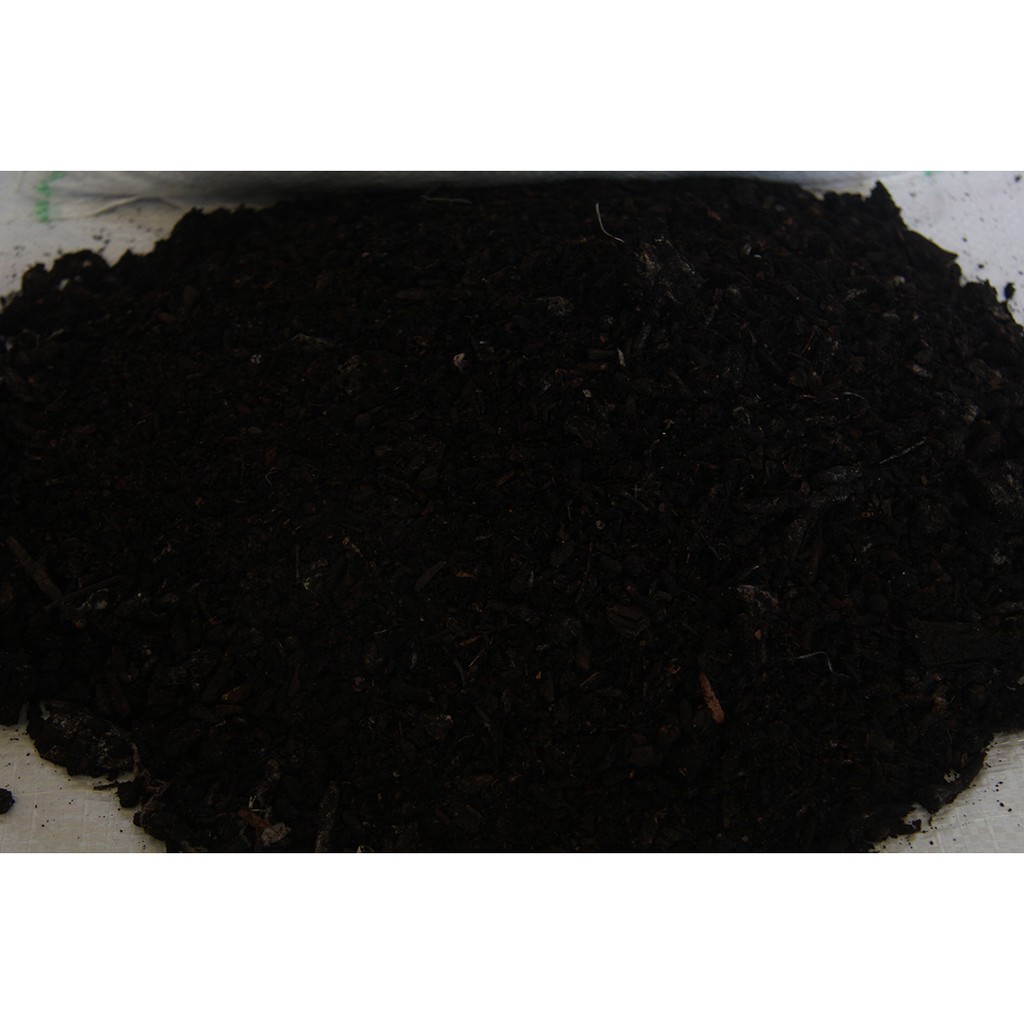 MEDIA TANAM KLENTENG 1 kg