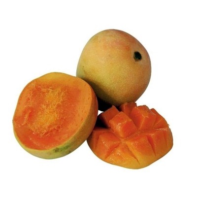 Mangga gedong