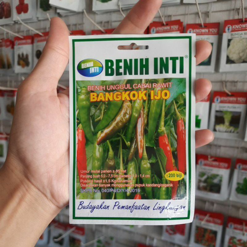 benih sayur cabe rawit hijau BANGKOK IJO ( 200btr)