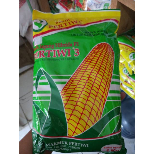 PERTIWI 3