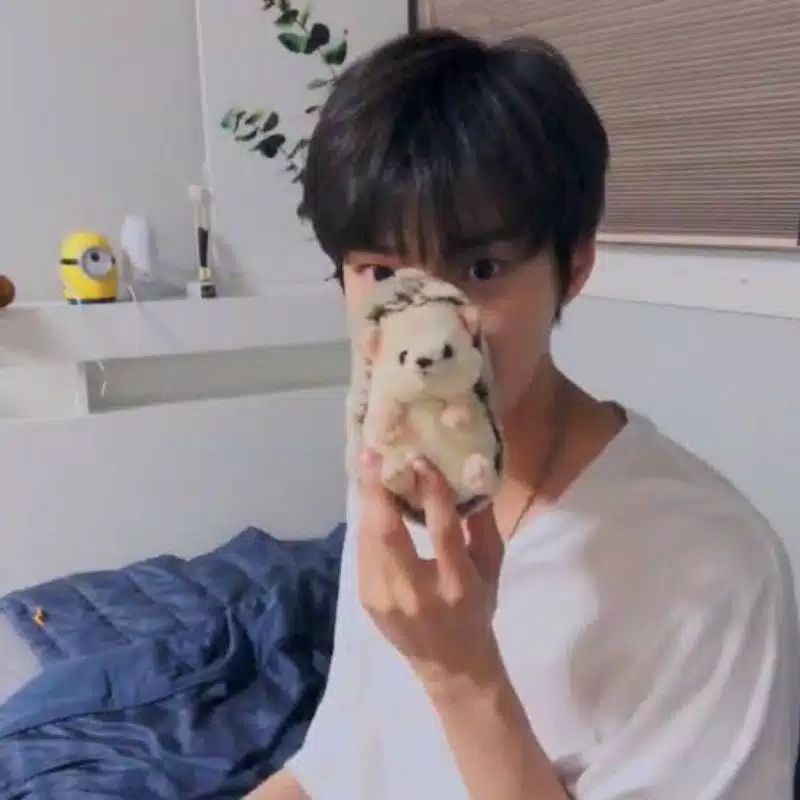 Boneka Dochi / landak / Sunlemon mirip doyoung NCT