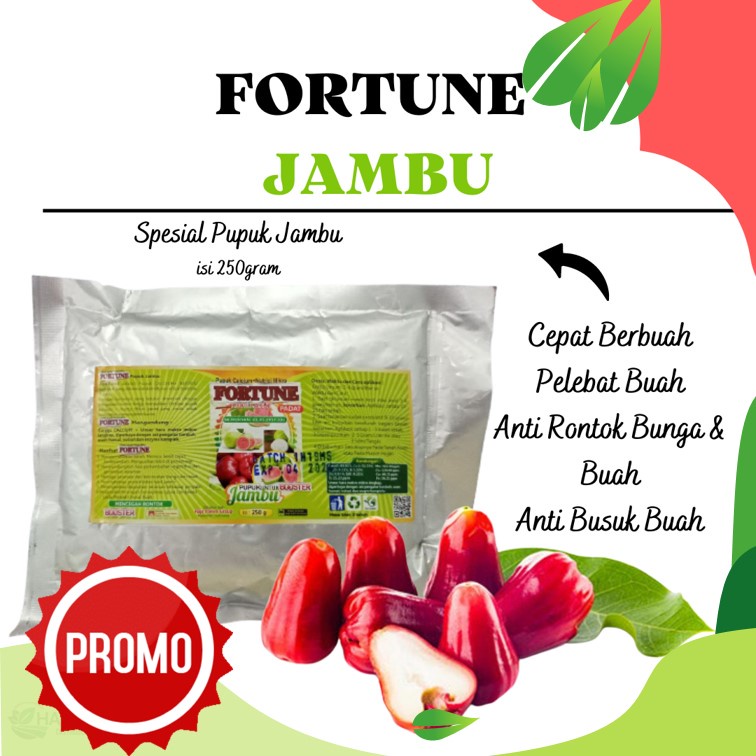 Booster jambu madu deli, Pupuk Jambu Air Supaya Manis, Nutrisi Jambu Air Madu