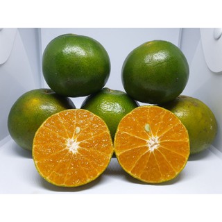 1KG Jeruk Peras Peres FRESH SEGAR TERMURAH IJO KILOAN 1KG Jeruk Peras Peres FRESH SEGAR TERMURAH IJO KILOAN
