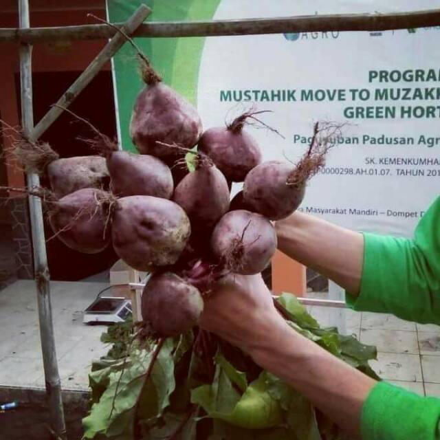 

Buah Bit 1kg