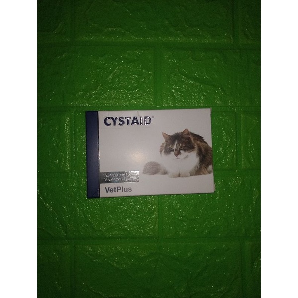 cystaid untuk kucing