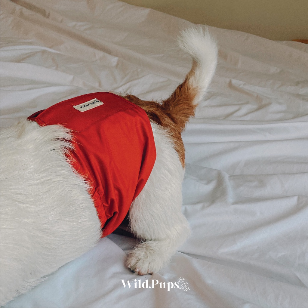 Manner belt / Manner pad / Popok anjing jantan / Belly belt / Marking belt