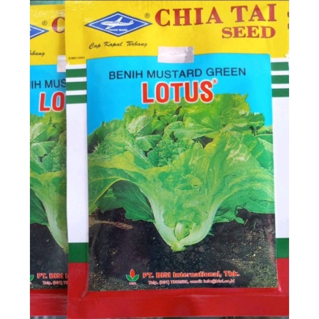 benih sawi pahit/sayur pait lotus
