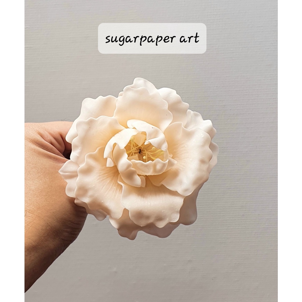 

peony wavy D10 / gumpaste / edible / flower