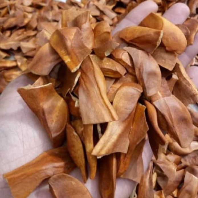 

Biji Mahoni obat herbal Sang Tian Guo