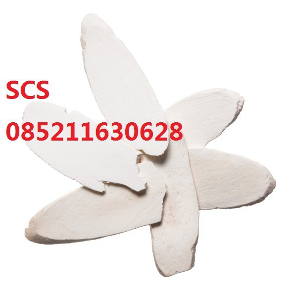 

Shan Yao Chinese Yam 600 gram 山药