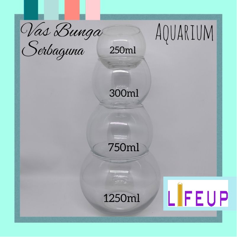 Vas Bunga Kaca bulat/Pot Tanaman Air Hidroponik Hias/Tempat Ikan Cupang/tempat kaca bulat serbaguna