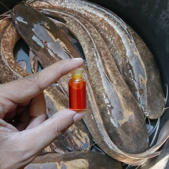 ⚡TOK SIAP 【COD】 Essen Esen Racikan Oplosan Umpan Pancing Mancing Lele Jitu Galatama Gt Harian Lomba 