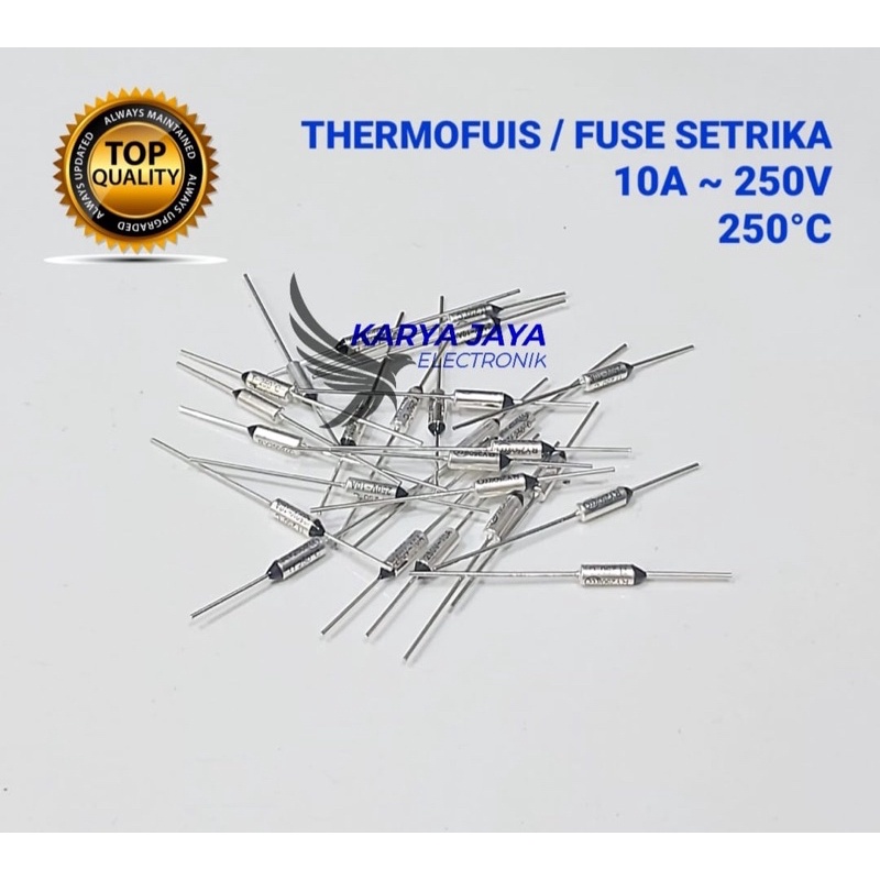 Thermofius setrika | fuse setrika 10A~250°C