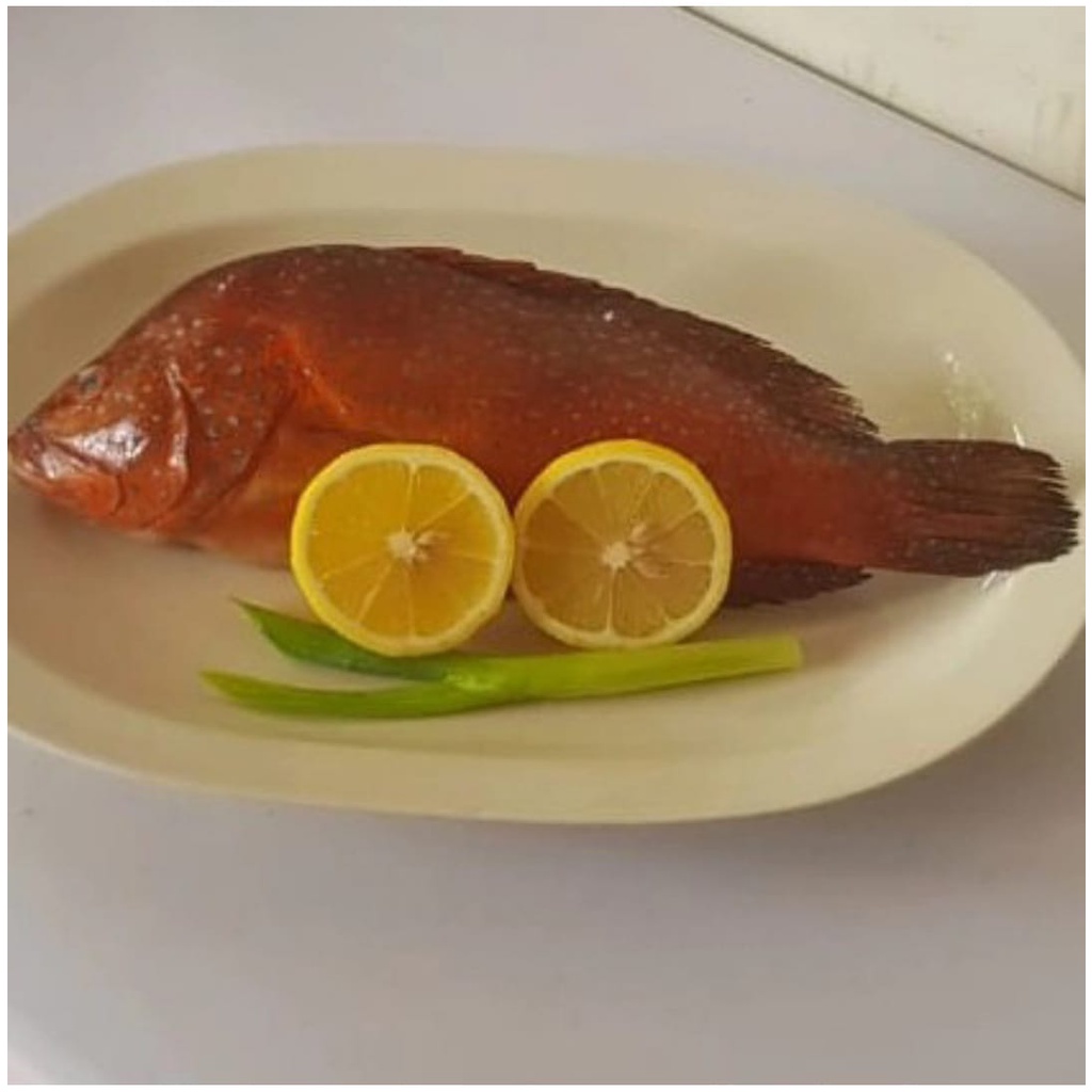 KERAPU LODI/KERAPU SUNU MERAH_Kerapu Utuh Segar_Lauk Pauk Sehat_RatuFresh