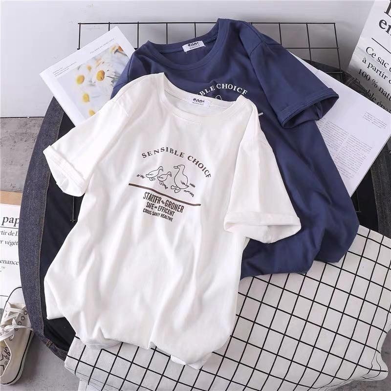 kaos sensible choice