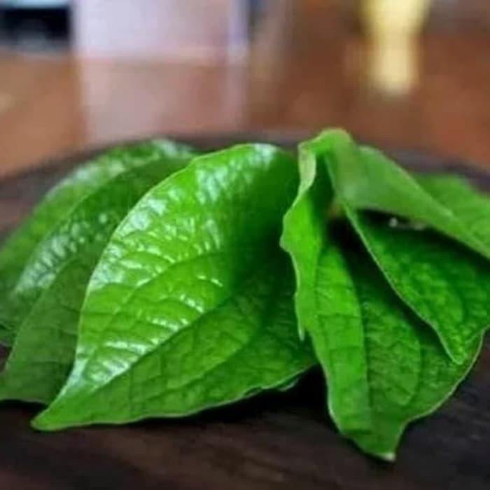 

terbaik daun sirih hijau segar per 1 lembar (obat herbal)