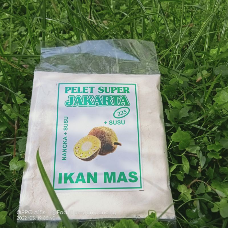 umpan pelet Jakarta nangka susu