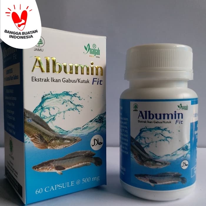 Albumin Fit Premium 5x - Mempercepat Penyembuhan Pasca Operasi - Ekstrak Ikan Gabus 60 Kapsul Albumin Fit Ekstrak Ikan Gabus / Kutuk 60 Kapsul