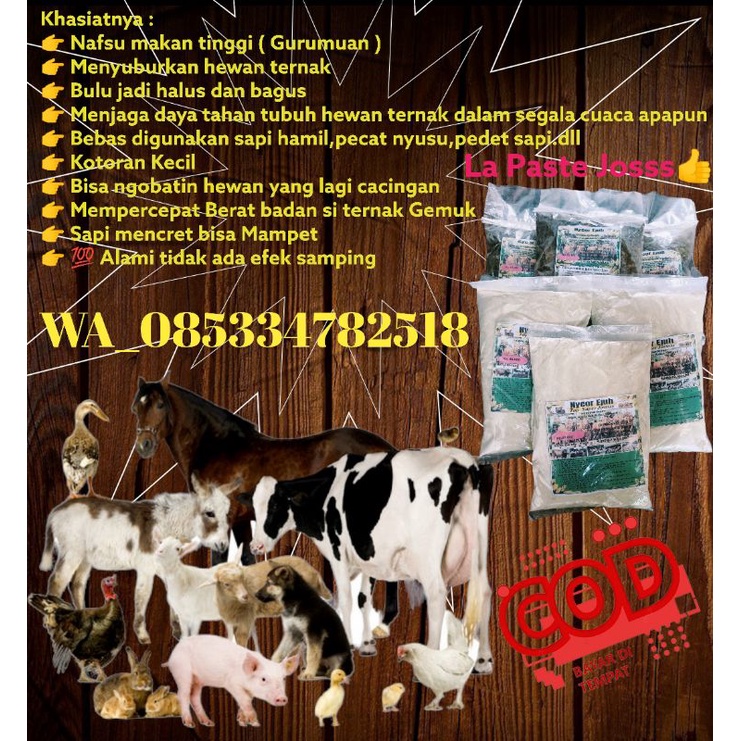 

JAMU TERNAK ALAMI