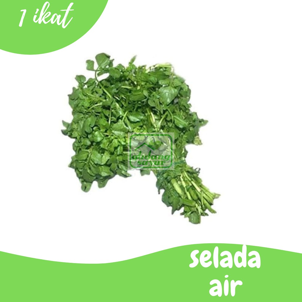 

Slada Bandung 500g Gudang Sayur Purwokerto