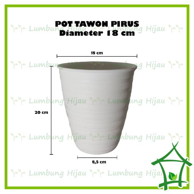  Pirus  Diameter 18 cm Pot  Tawon  Pirus  Tirus 181 