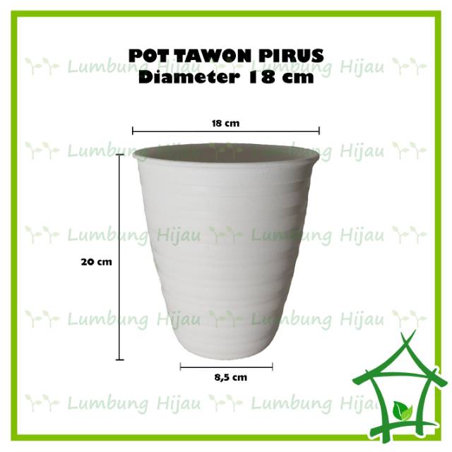 Pirus Diameter 18 cm Pot Tawon Pirus Tirus 181 Pirus Diameter 18 cm Pot Tawon Pirus Tirus 181