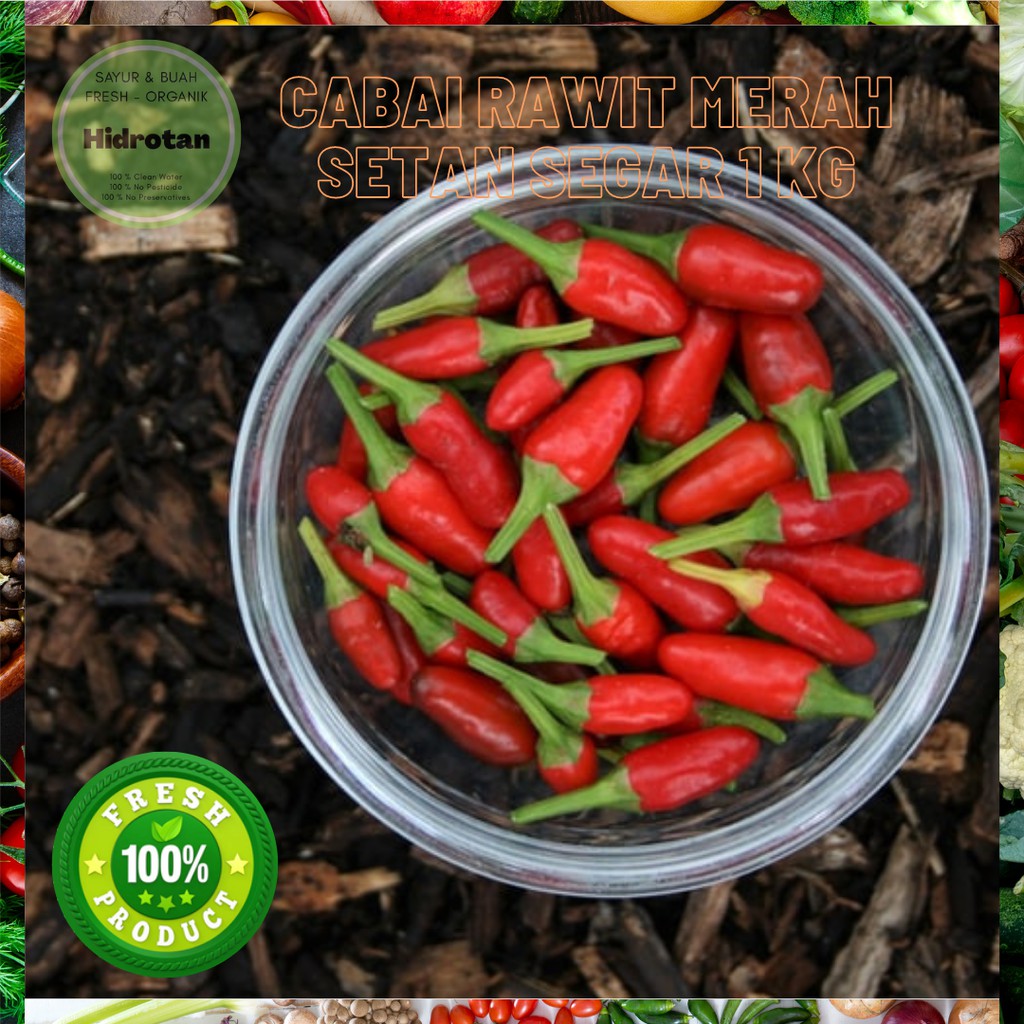 

Cabe / Cabai Rawit Merah Setan 1 kg Sayuran Segar | Paket Combo Fresh - Makanan Murah - Free Emas