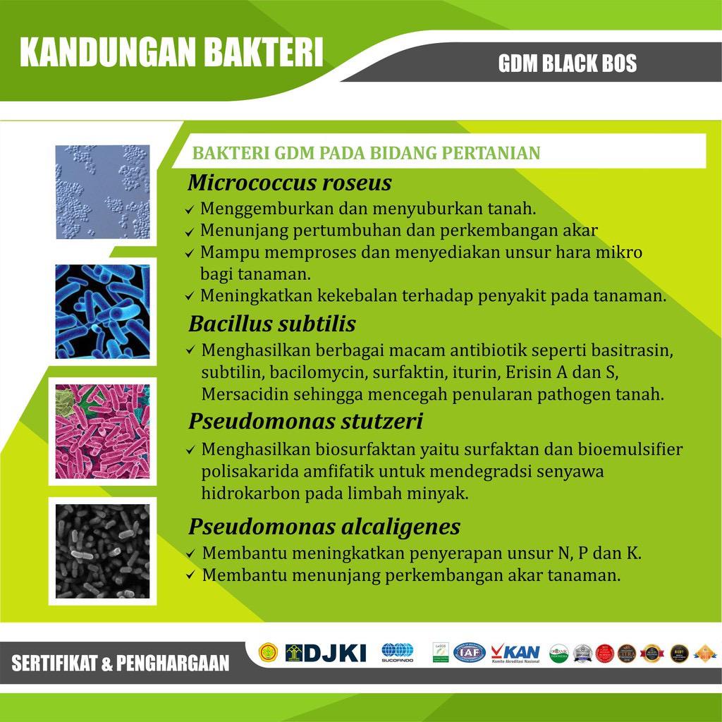 GDM Black BOS (Bio Organic Stimulant) Pupuk Organik Nutrisi Tanaman dan Perikanan 1kg Original