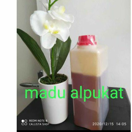 madu alpukat 1kg