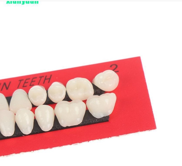 Gigi Palsu Bagian Atas Dan Bawah Bahan Resin Akrilik 28pcs 1 set