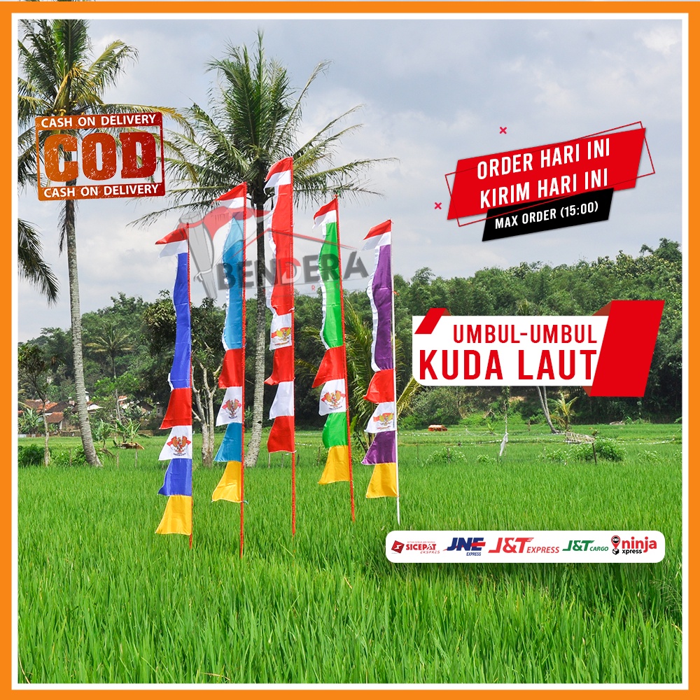 UMBUL UMBUL KUDA LAUT