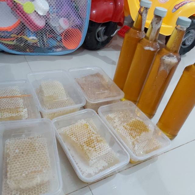 

Madu sarang