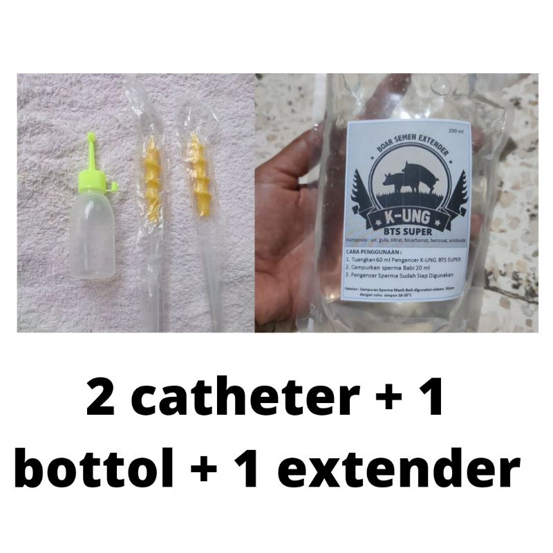 INSEMINASI BUATAN BABI ( KATETER DAN PENGENCER)