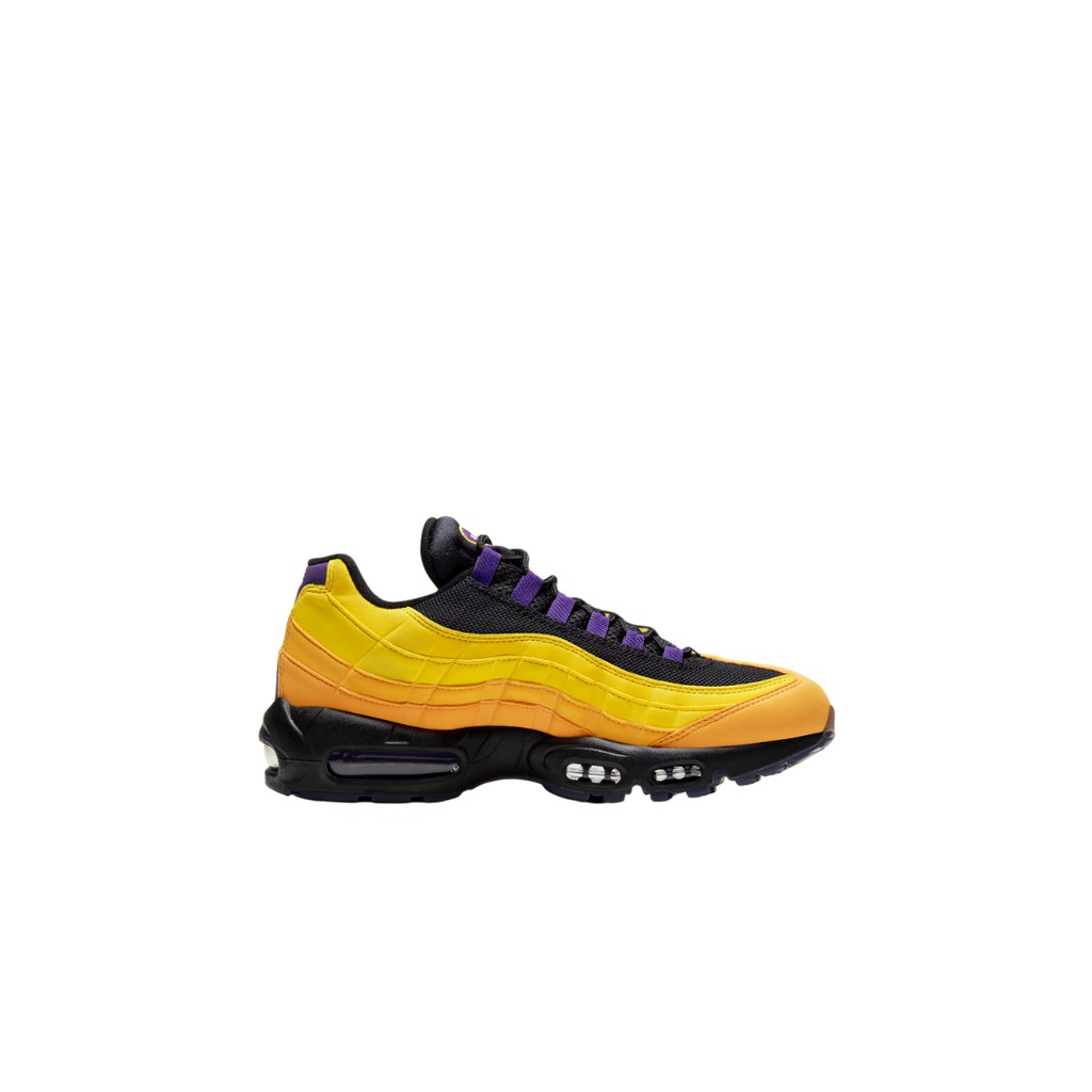 lebron 95 air max