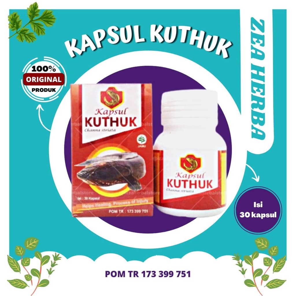 Kapsul Kutuk Obat Luka Kapsul Kutuk Original Premium Asli 100% Kapsul Ikan Gabus Kapsul Ikan Kutuk Premium | Kapsul Kuthuk Premium Original Ampuh Mengobati Luka