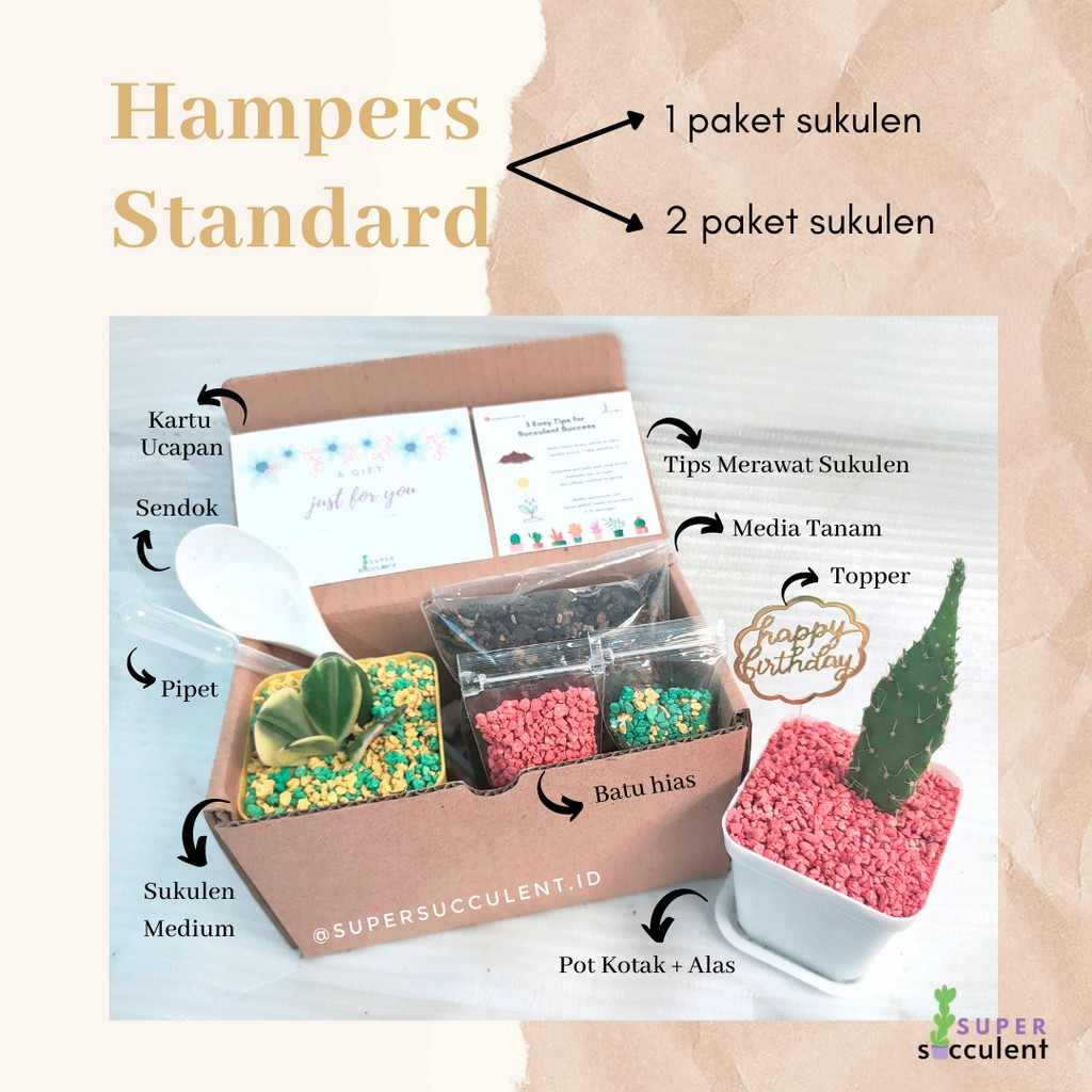 [STANDARD] Gift Hampers Kado Paket Kaktus Sukulen Birthday Graduation Wedding Wisuda Lebaran