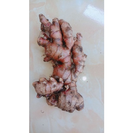 

1 KG JAHE MERAH FRESH